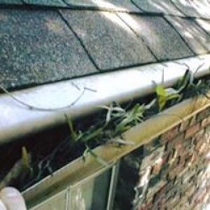 Gutter Cleaning on Minneapolis MN Home