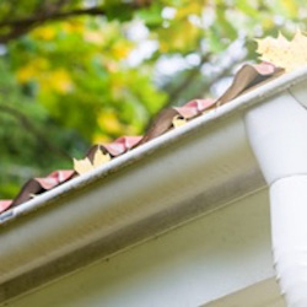 Minneapolis Gutter Cleaning | MN Gutter Cleaners Near Me