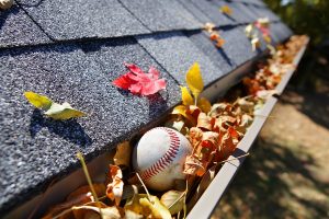 Gutter Cleaning Nearby Newport MN