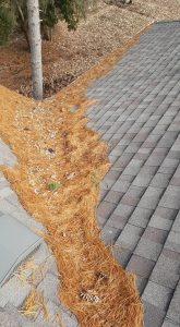 Gutter Cleaning Service on MN Home Roof