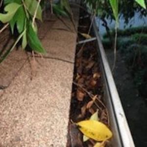 Leaves in Gutters that require a MN Cleaning Service